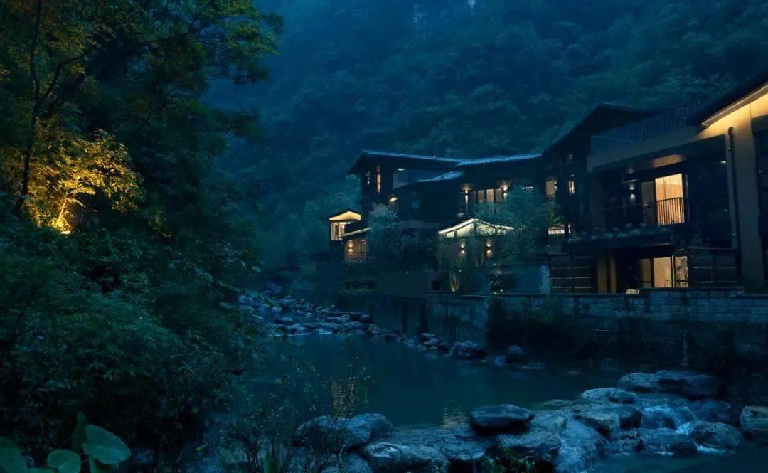 动物帮帮忙保卫家园